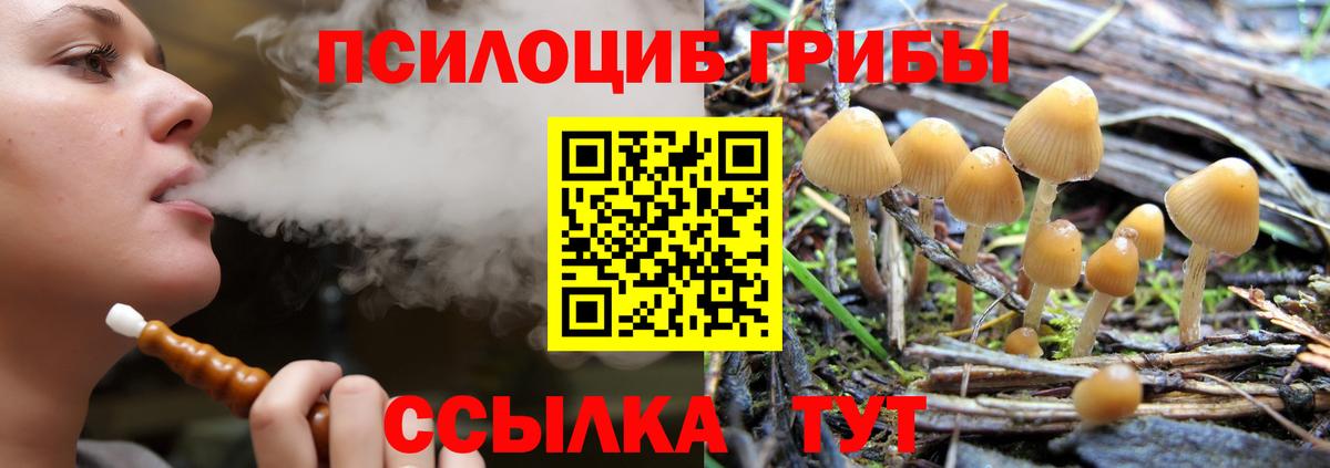 Псилоцибиновые грибы ЛСД  Вход с VPN  Армавир  Галлюциногенные грибы прущие грибы 